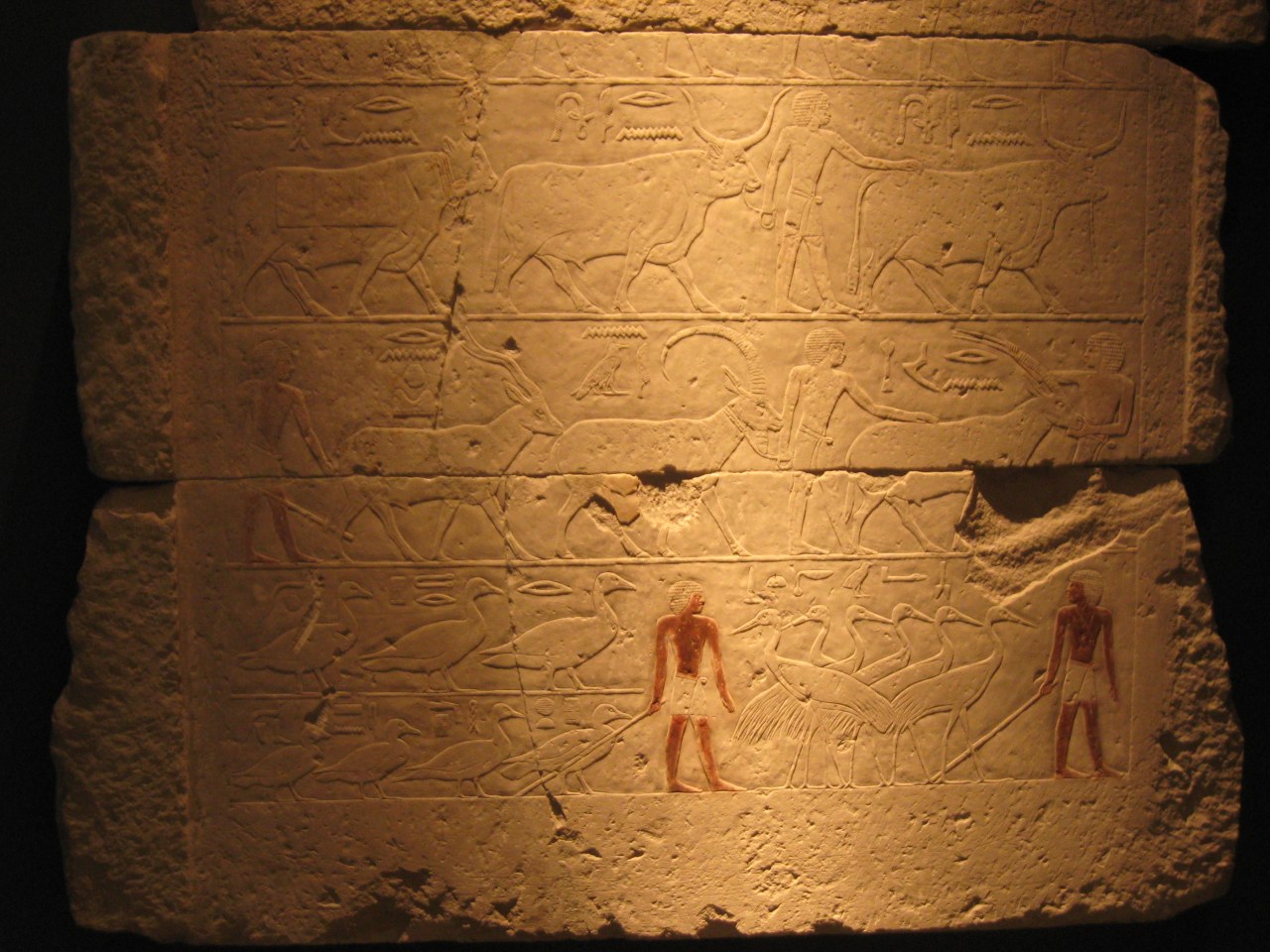 ../image/img_4639.jpg
