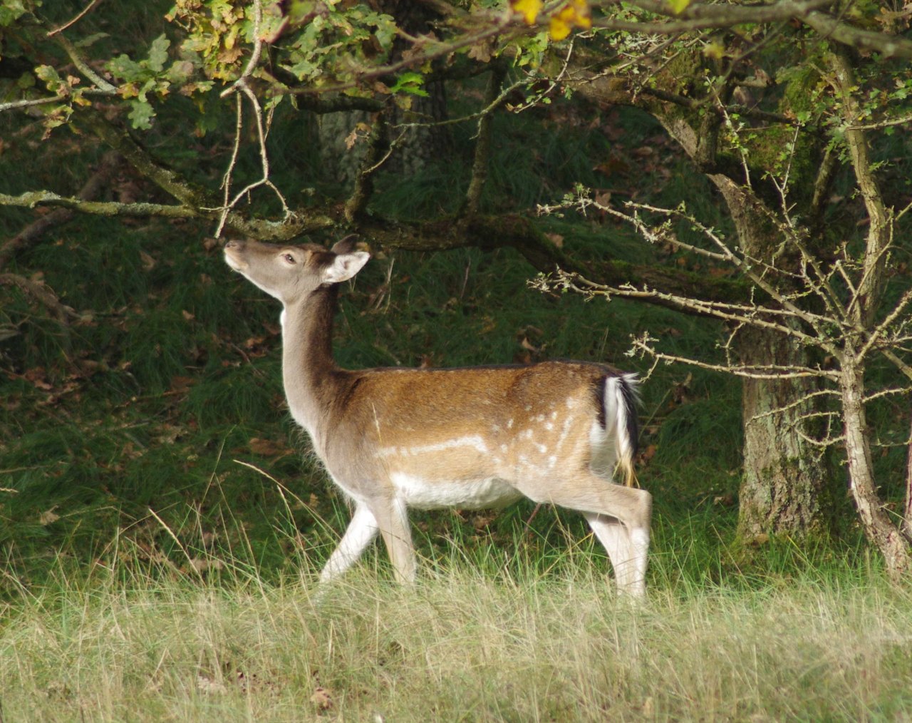 ../image/imgp1469.jpg