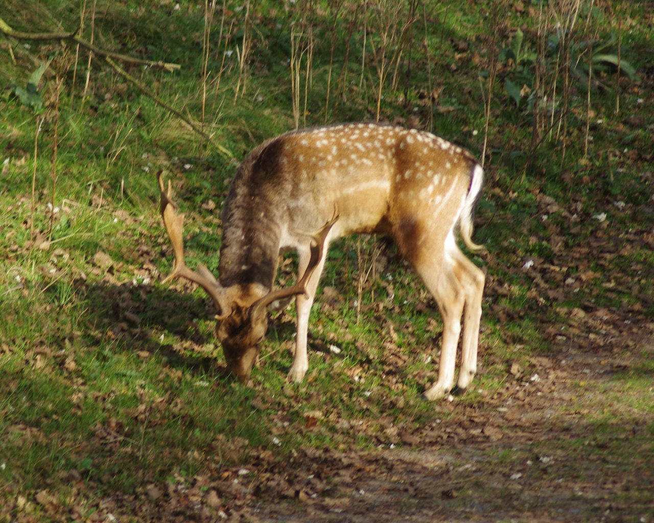 ../image/imgp1487.jpg