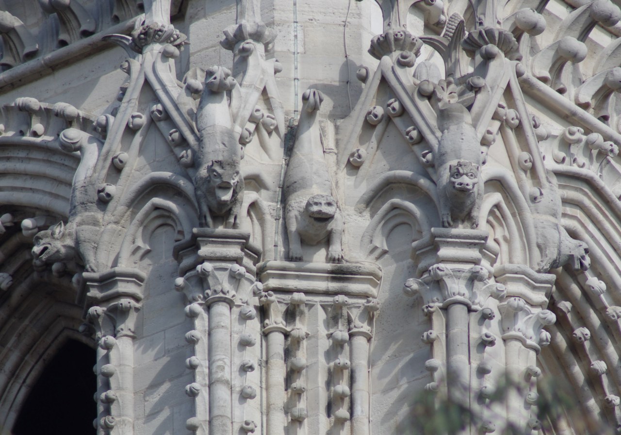 ../image/imgp5783.jpg
