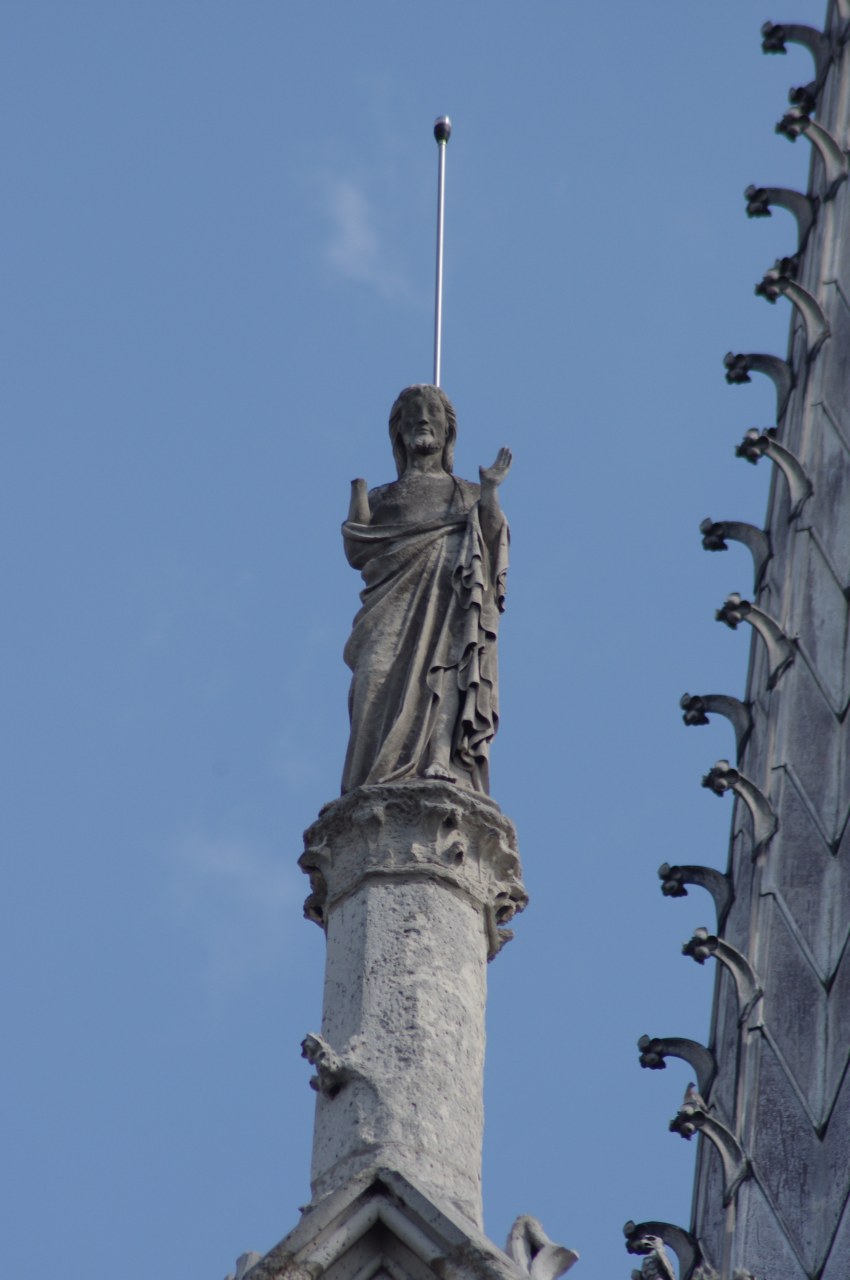 ../image/imgp5784.jpg