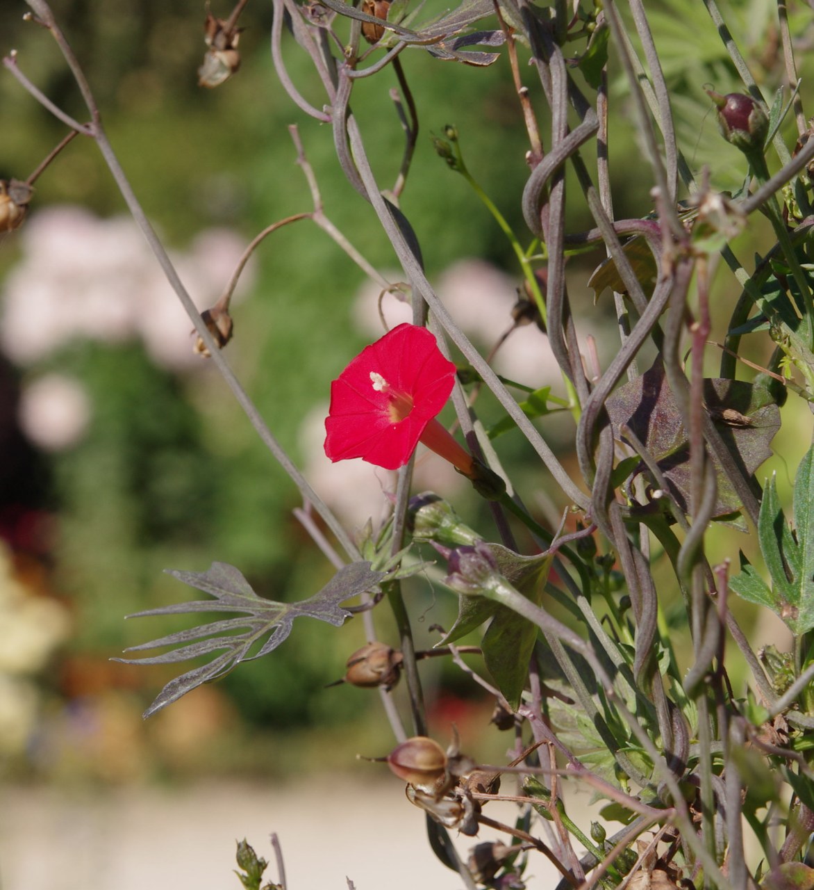 ../image/imgp6008.jpg
