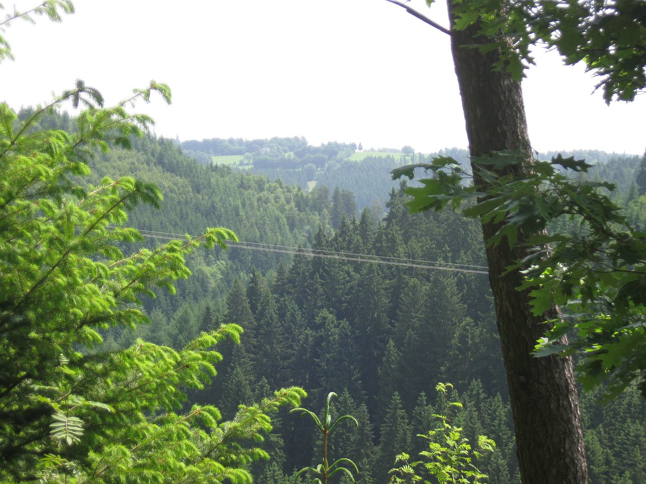 ../image/img_5802.jpg